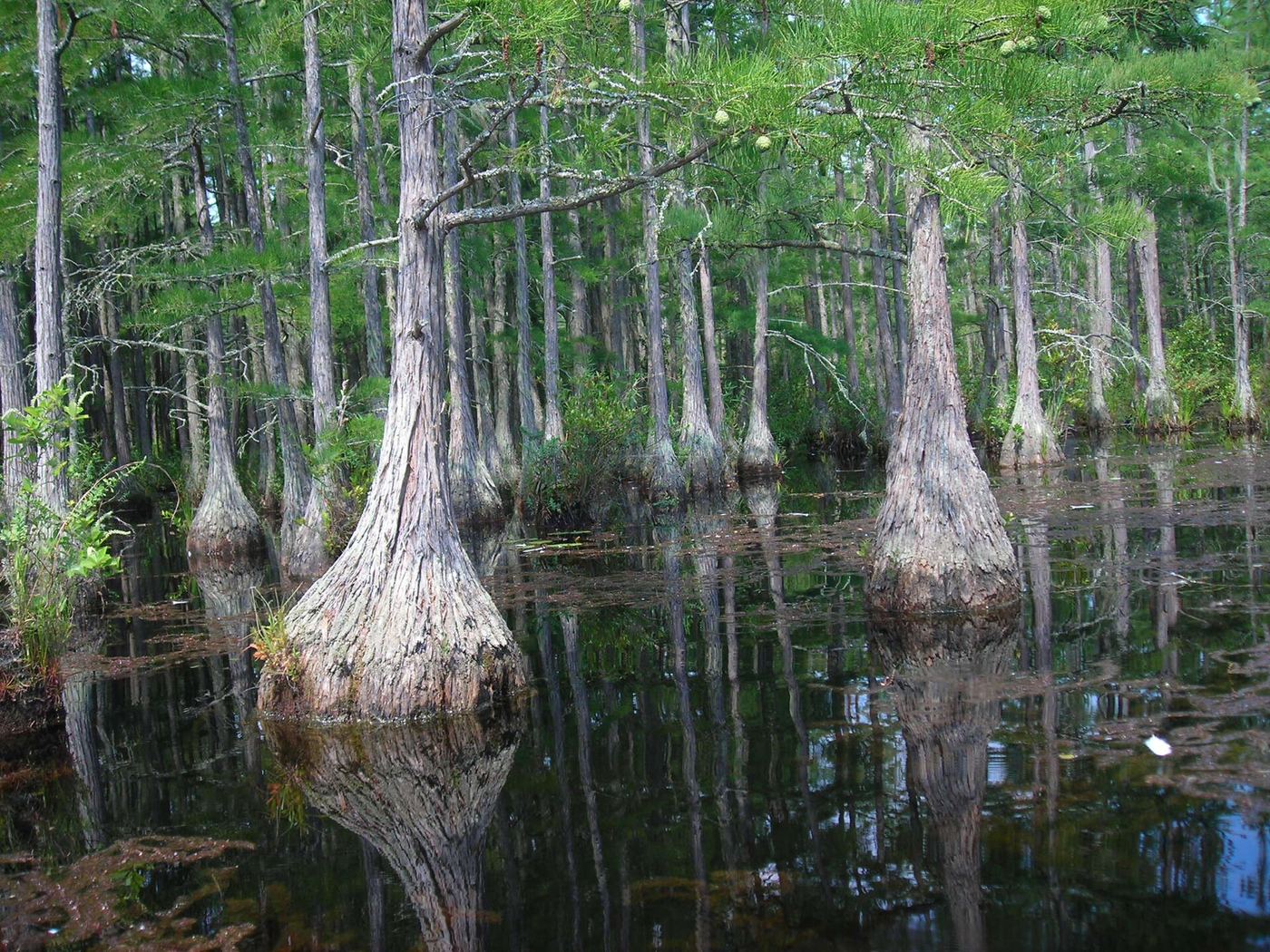 Goodale State Park