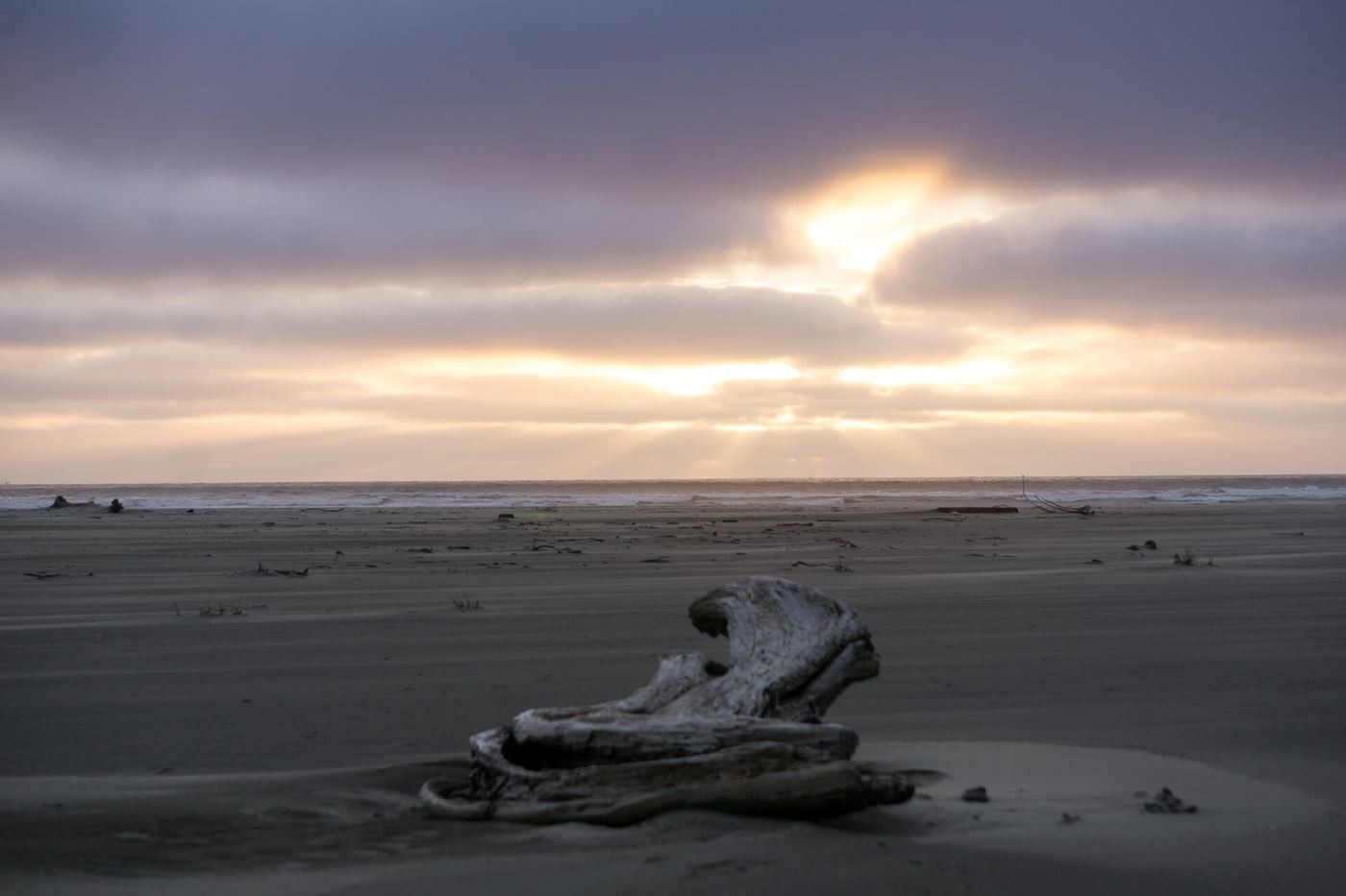Grayland Beach State Park