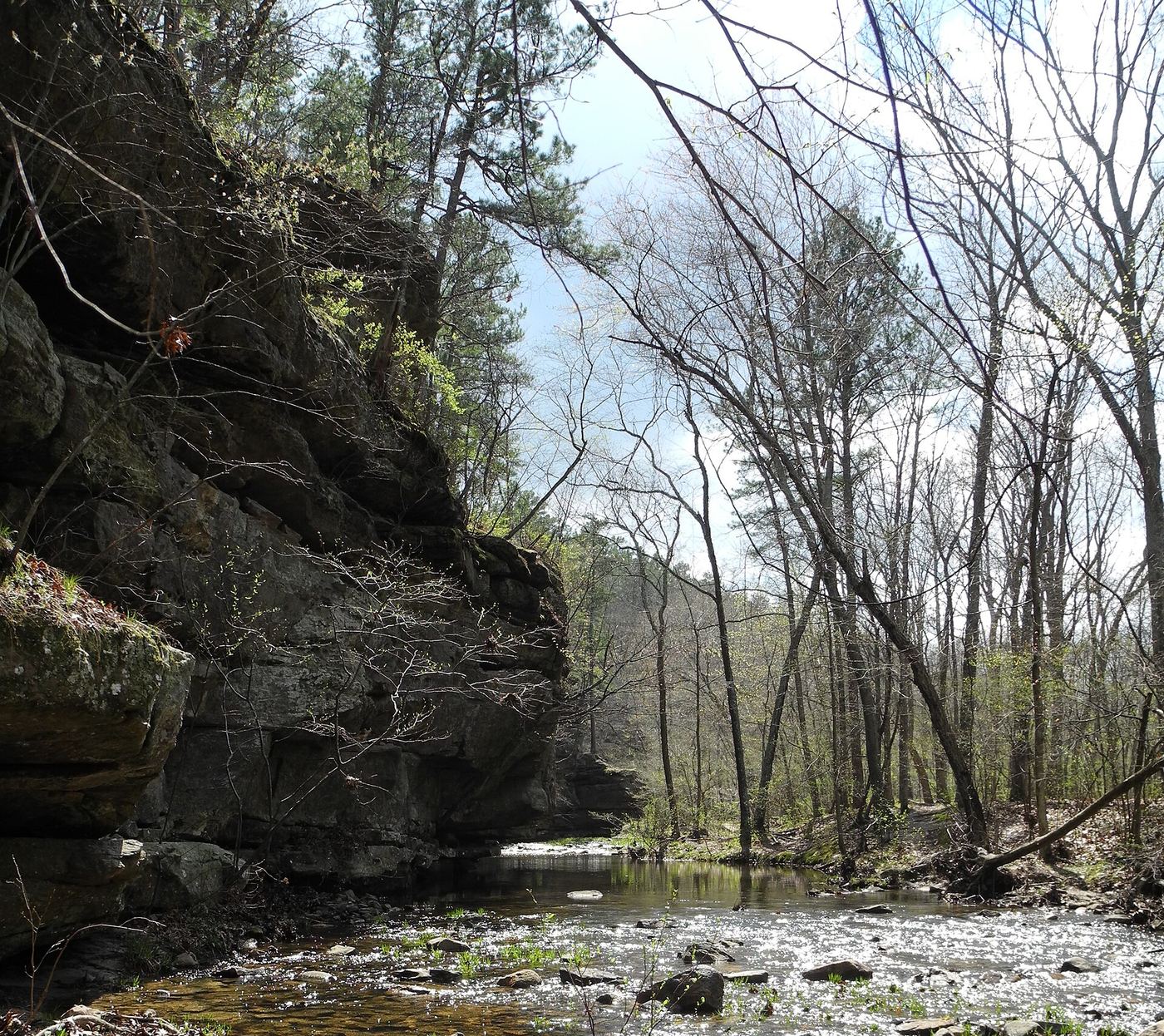 Hawn State Park