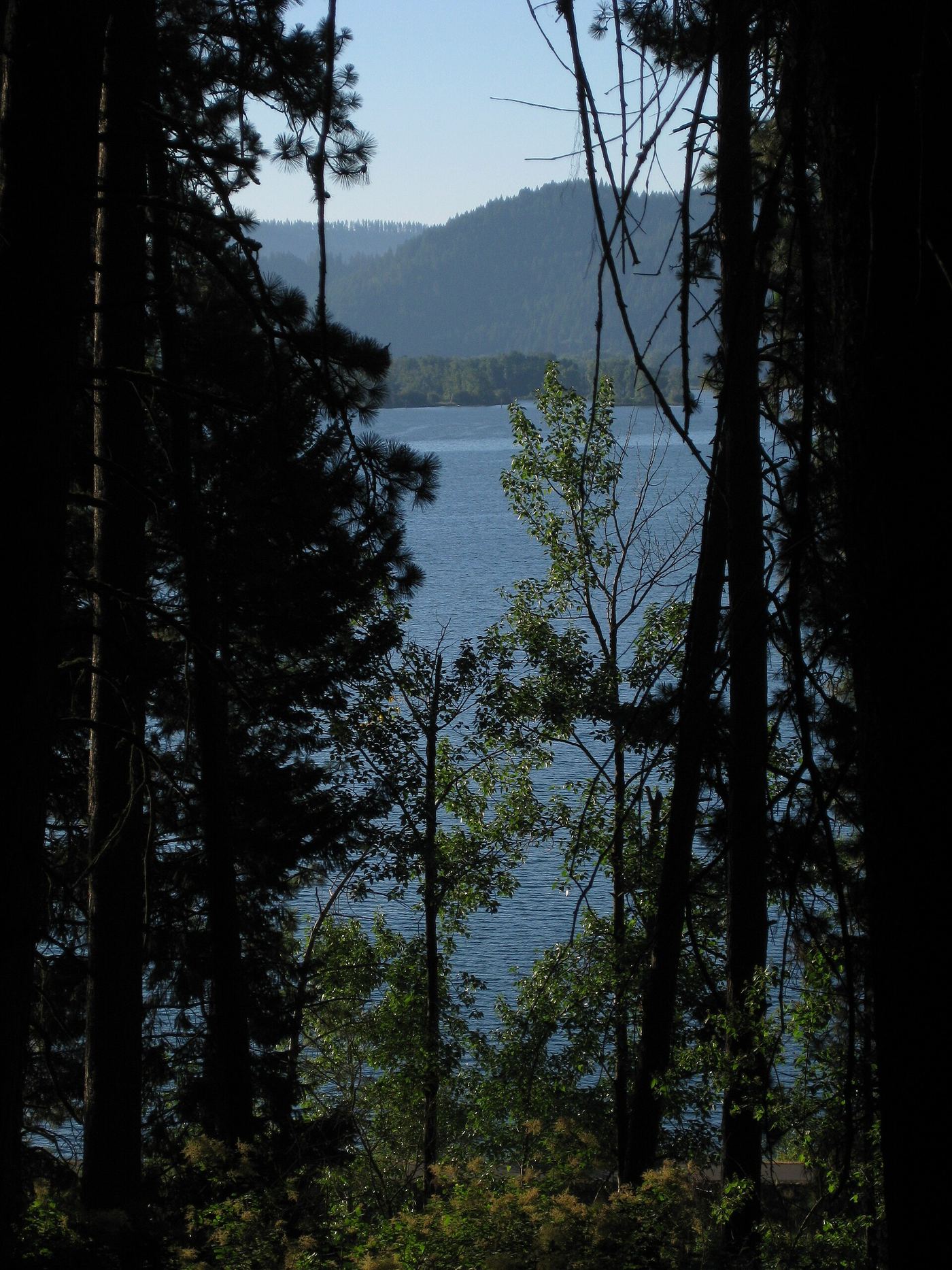 Heyburn State Park