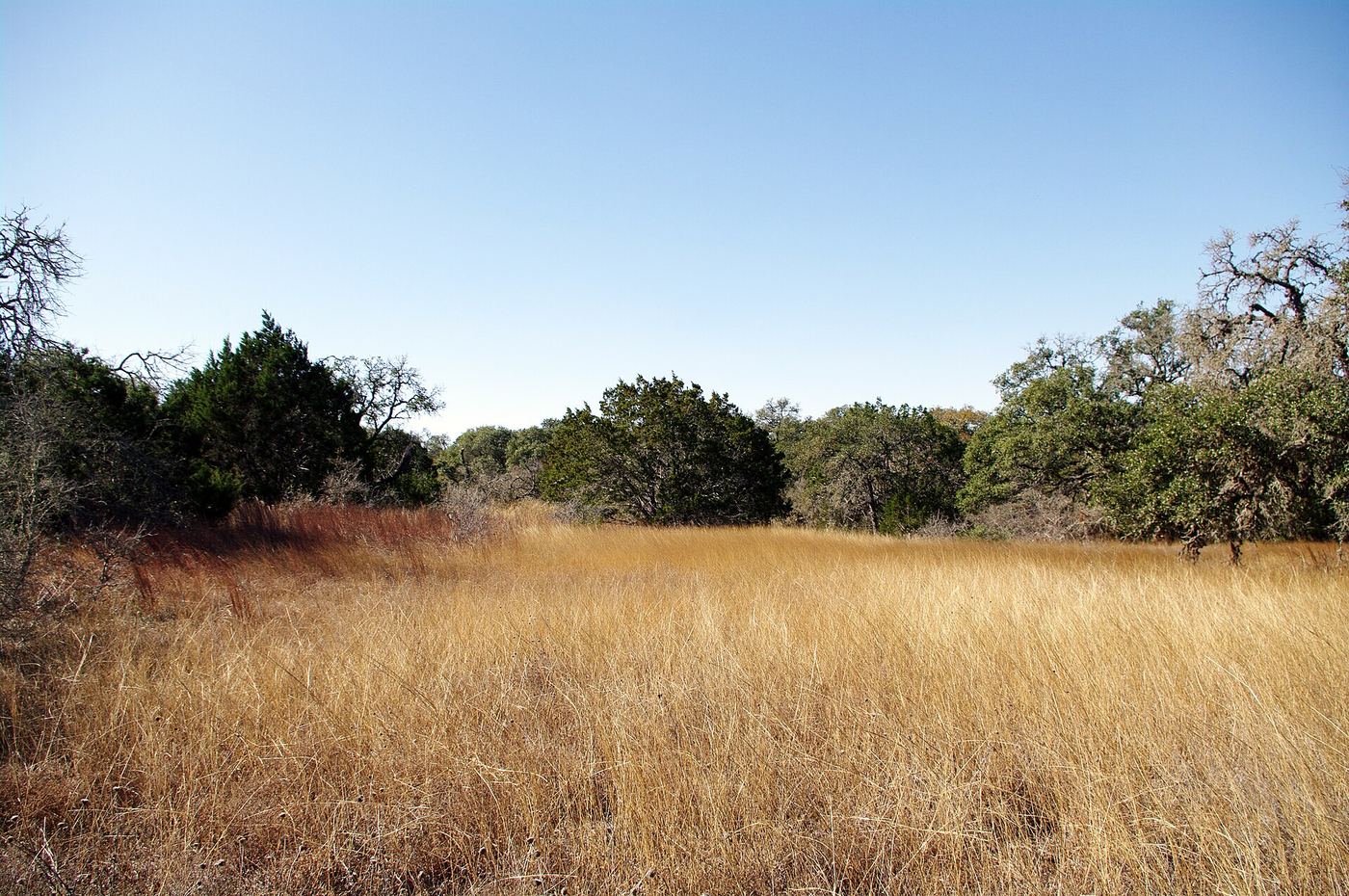 Hill Country State Natural Area