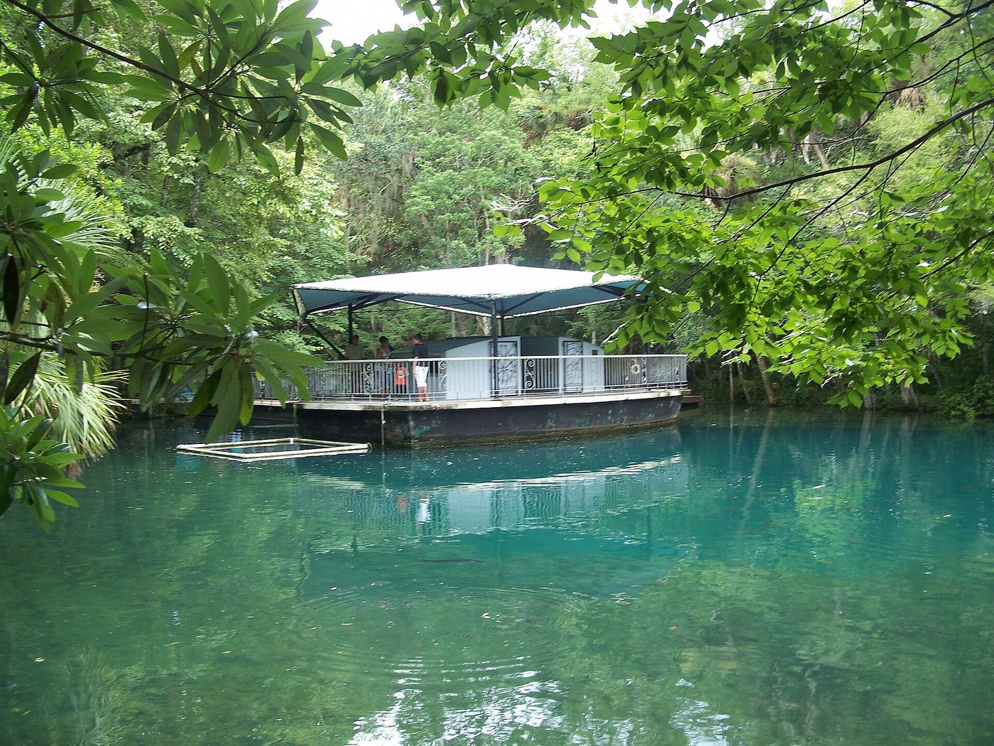 Homosassa Springs Wildlife State Park