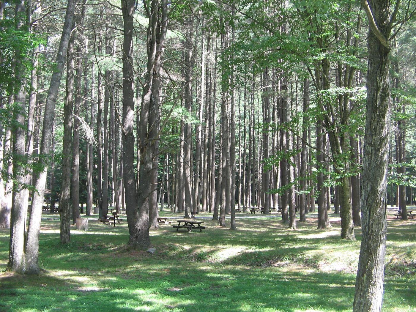 Hyner Run State Park