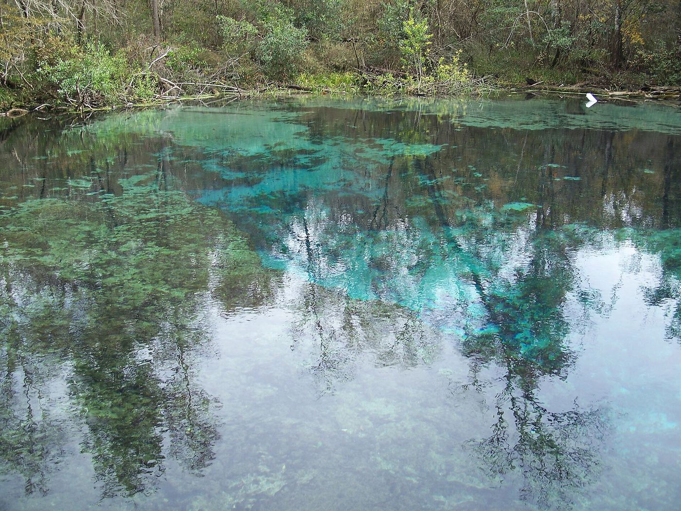 Ichetucknee Springs State Park