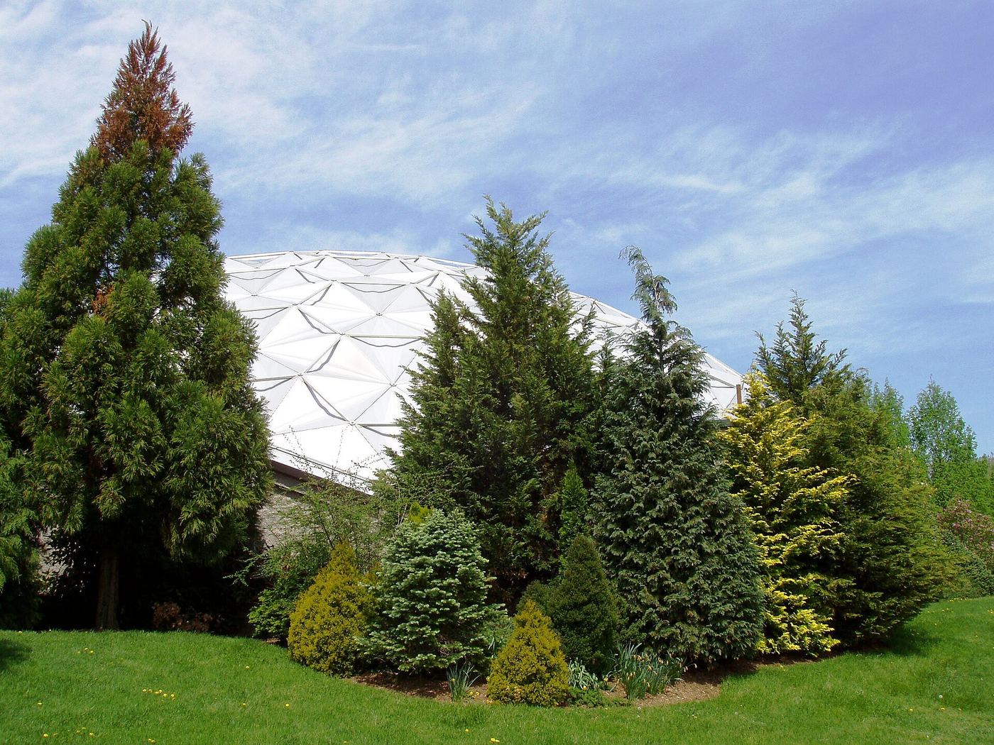 Dinosaur State Park and Arboretum