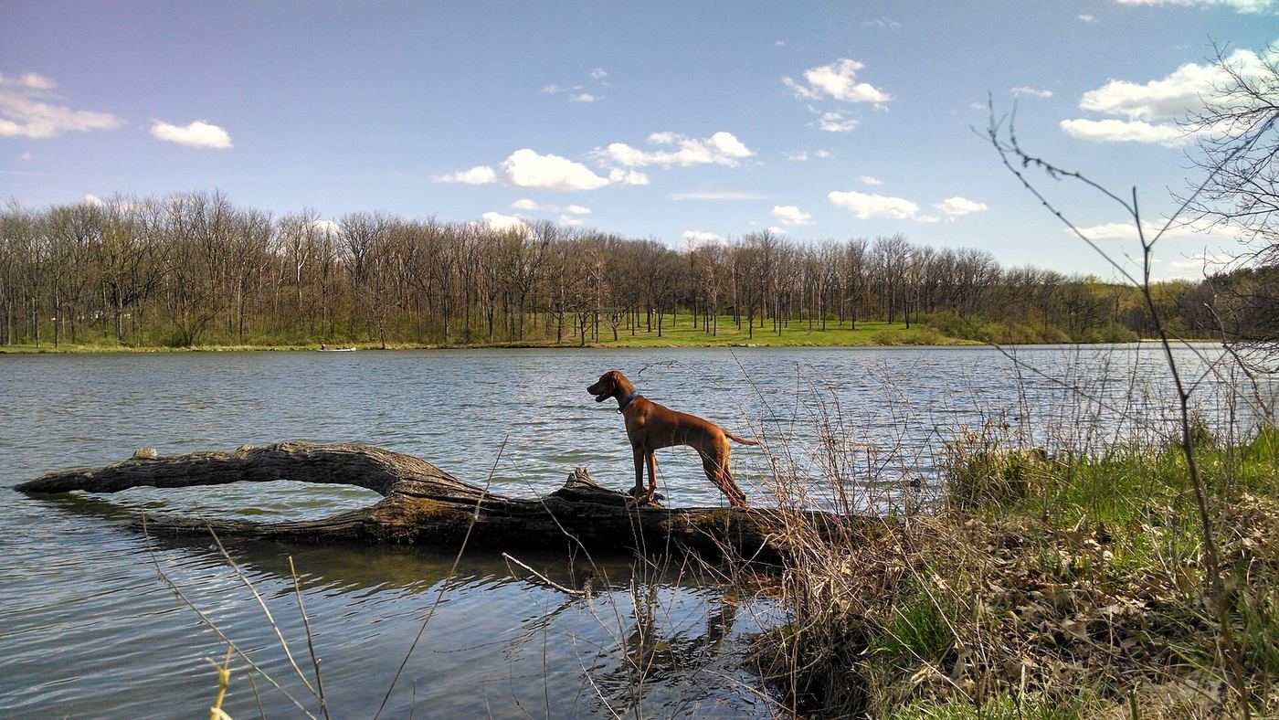 Johnson-Sauk Trail State Recreation Area