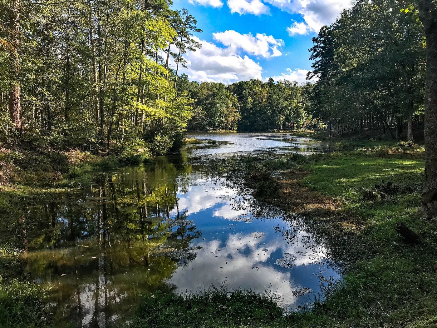 Kings Mountain State Park