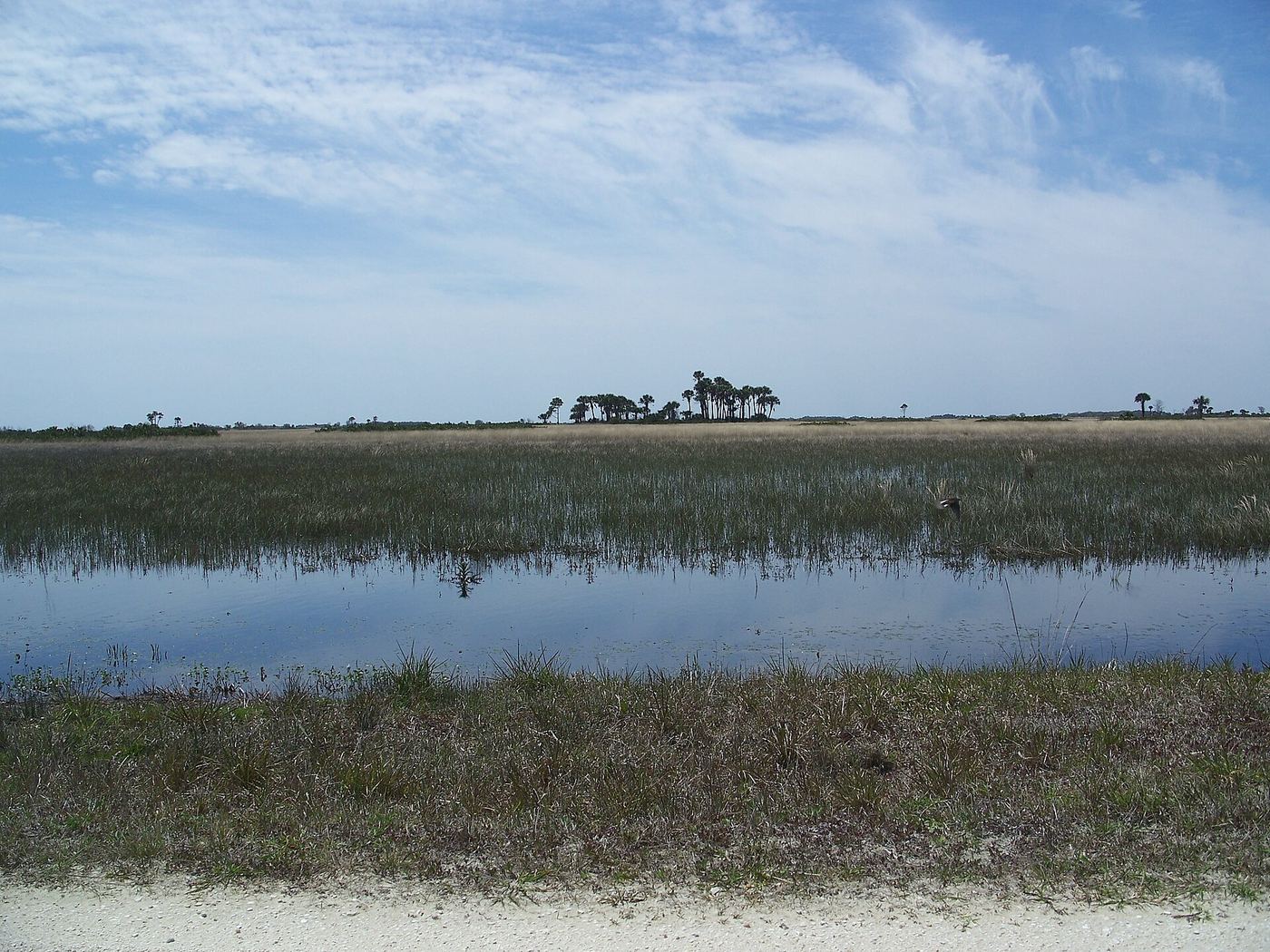 Kissimmee Prairie Preserve State Park