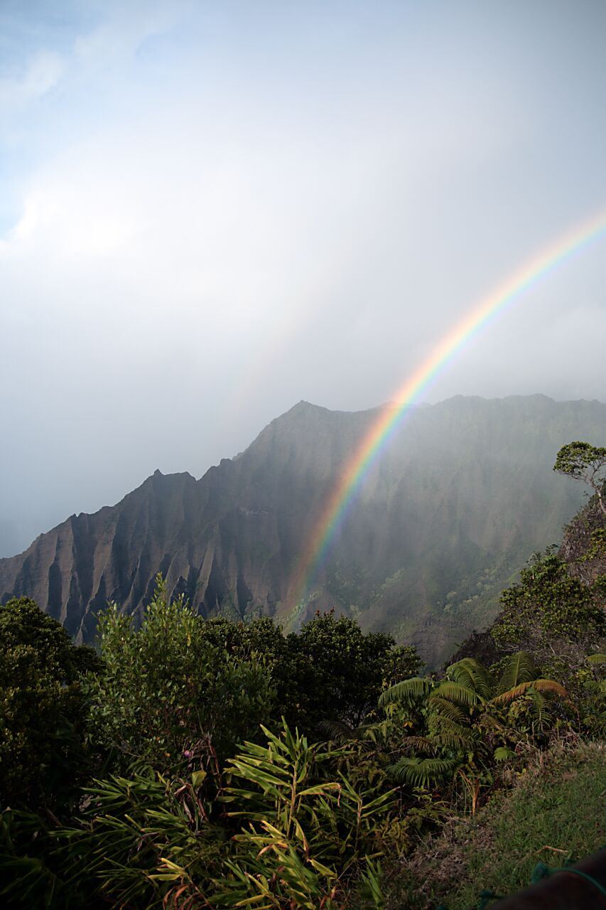 Koke'e State Park