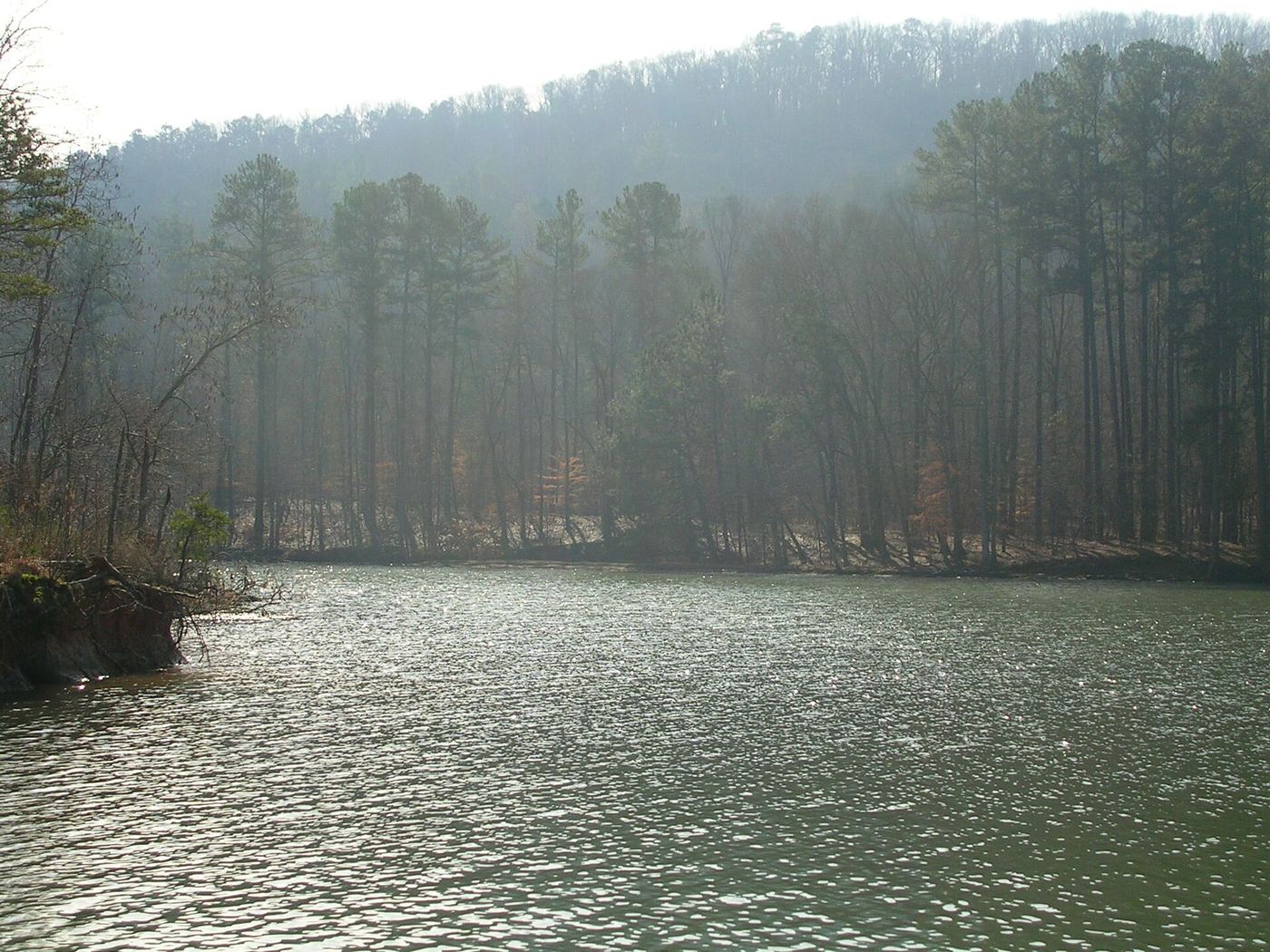 Lake Guntersville State Park