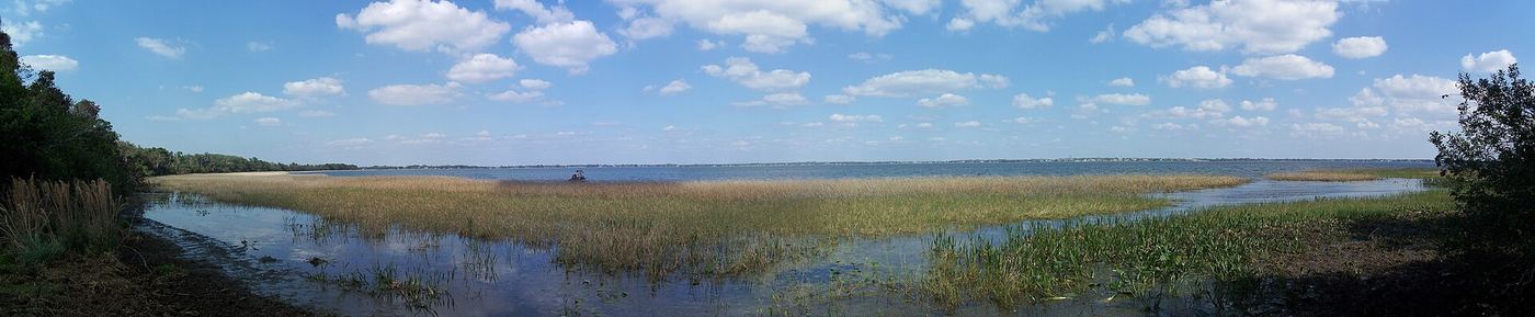 Lake June in Winter Scrub State Park