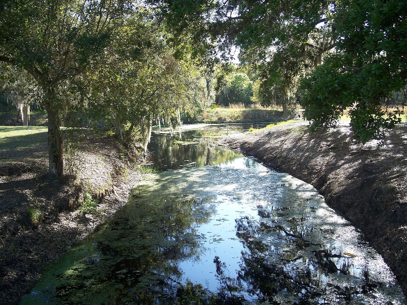 Lake Kissimmee State Park