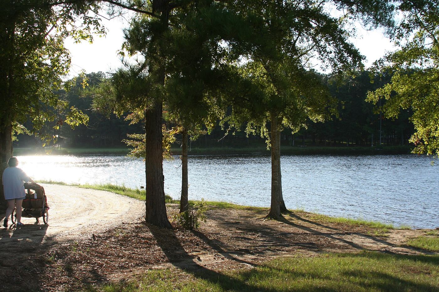 Lake Lincoln State Park
