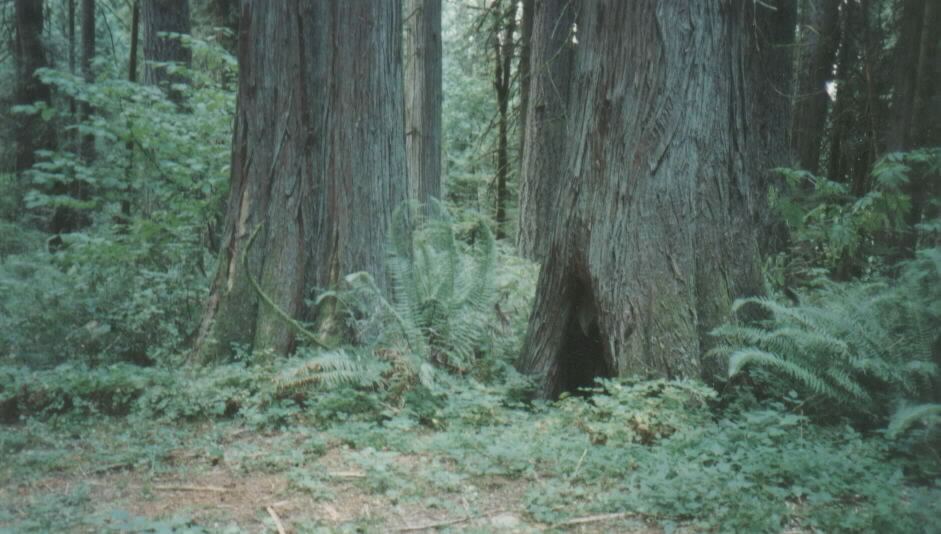 Lewis & Clark State Park