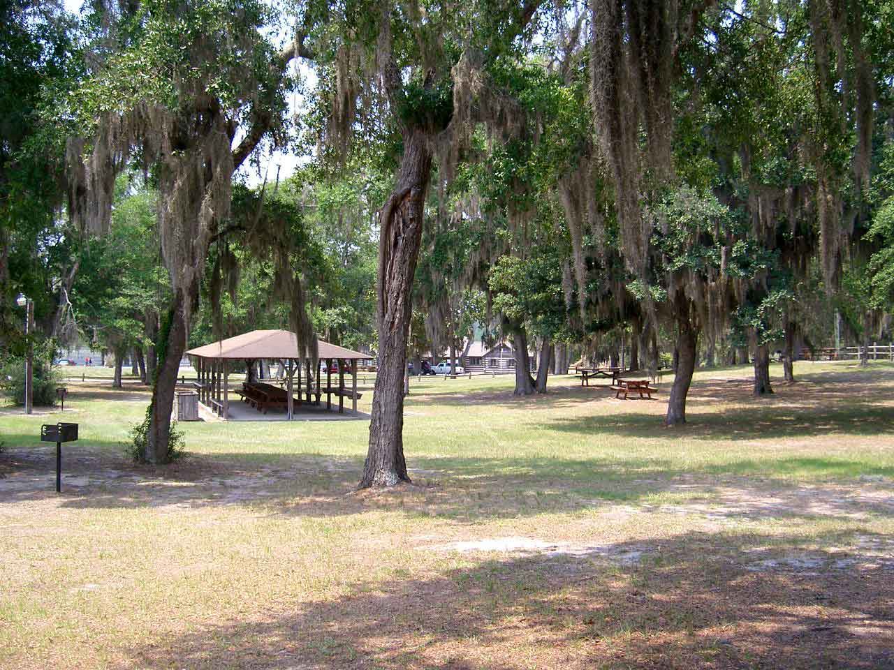 Little Ocmulgee State Park