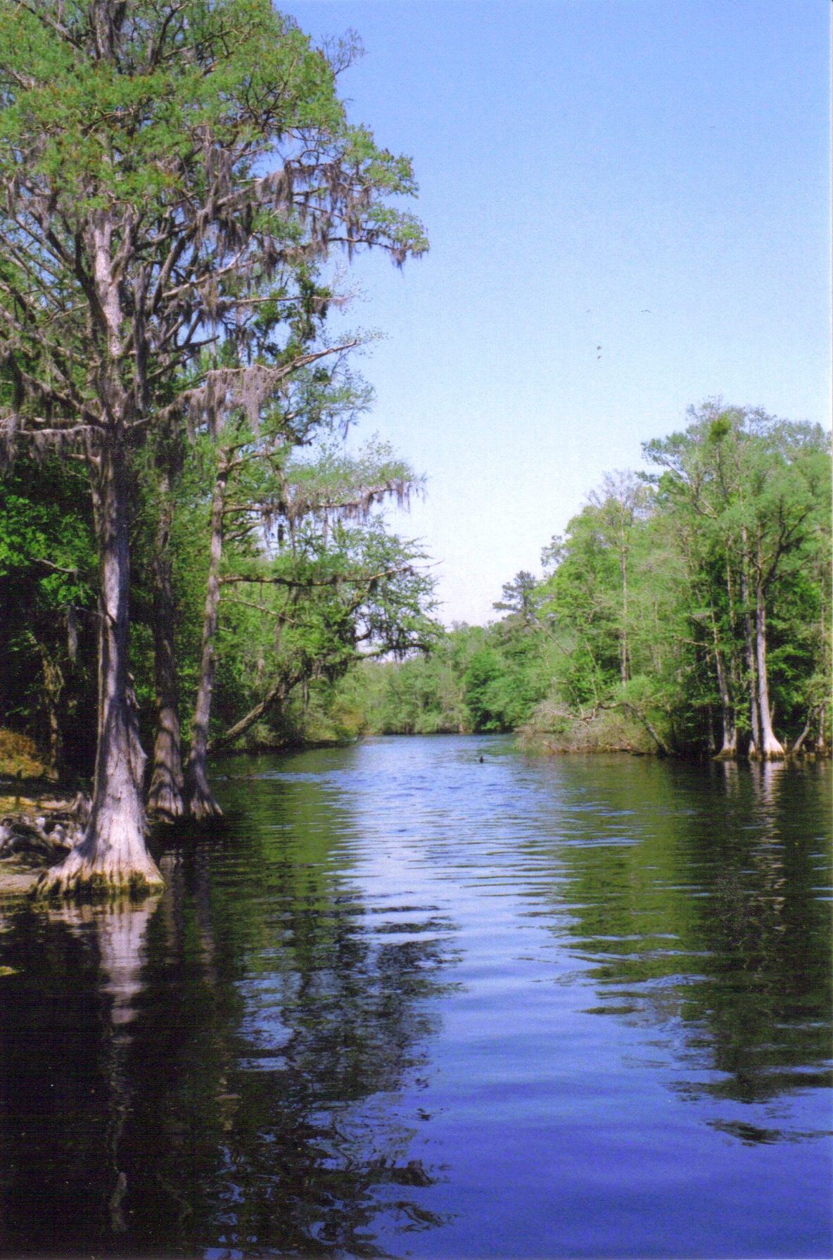 Lumber River State Park