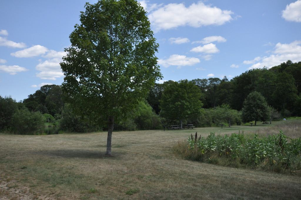 Machimoodus State Park