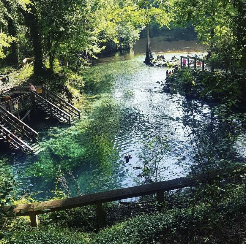 Madison Blue Springs State Park