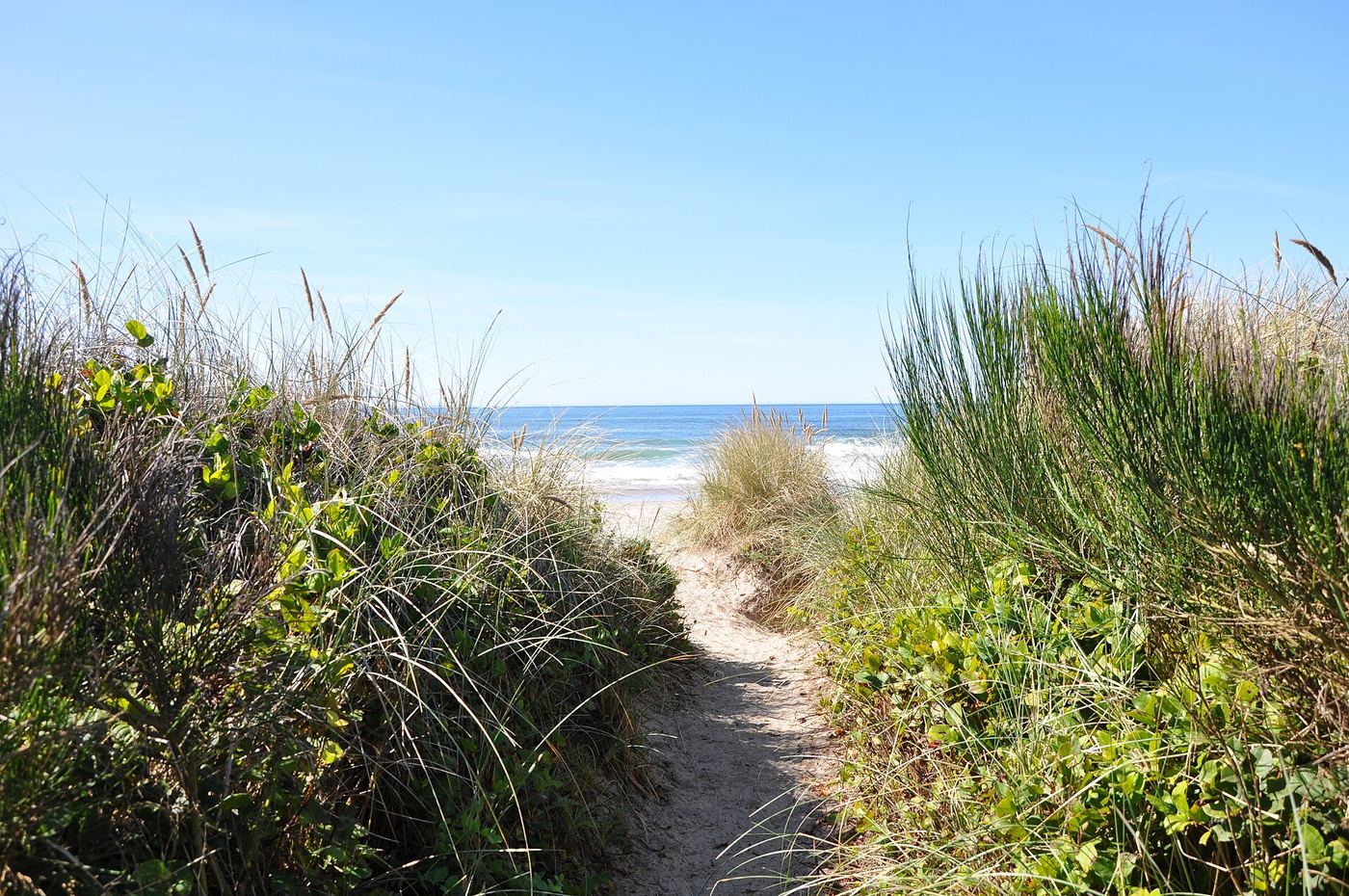 Manhattan Beach State Recreation Site