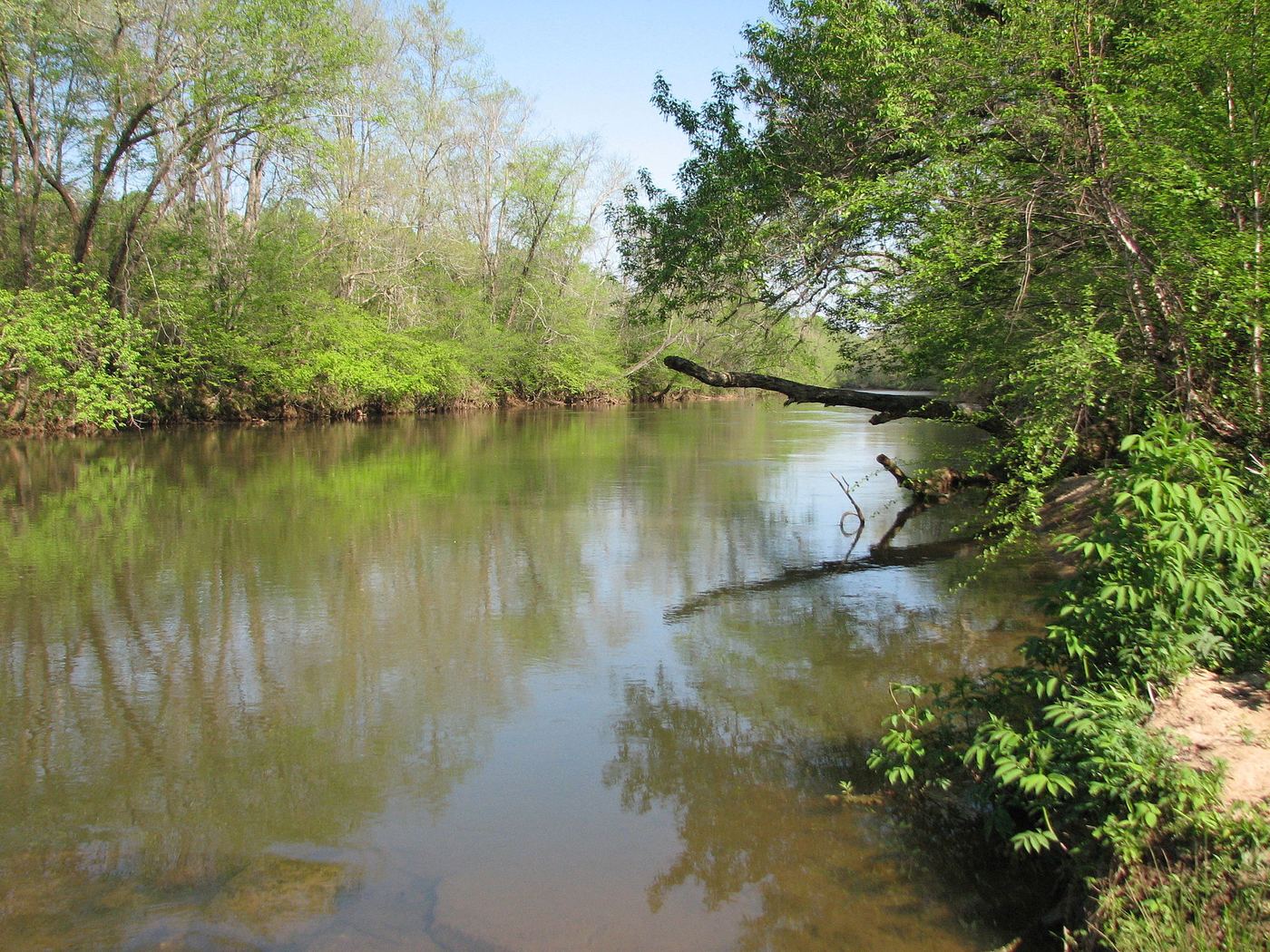 Mayo River State Park
