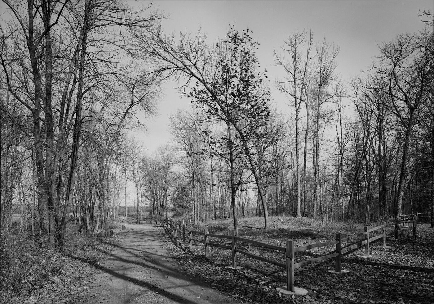 Mille Lacs Kathio State Park