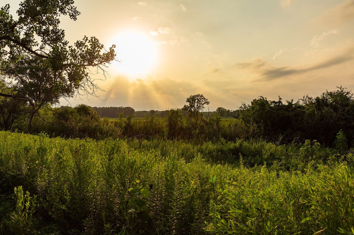 Moraine Hills State Park