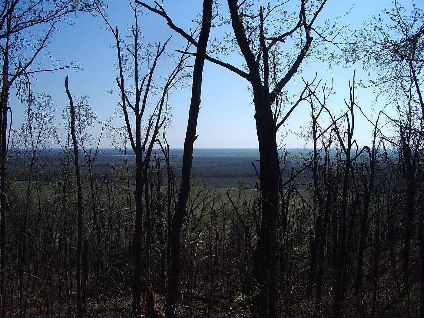 Morris State Park
