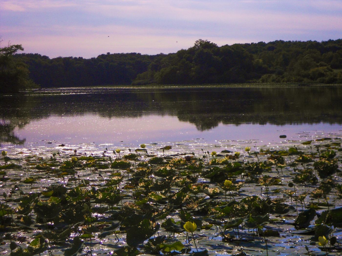 Morrison-Rockwood State Park