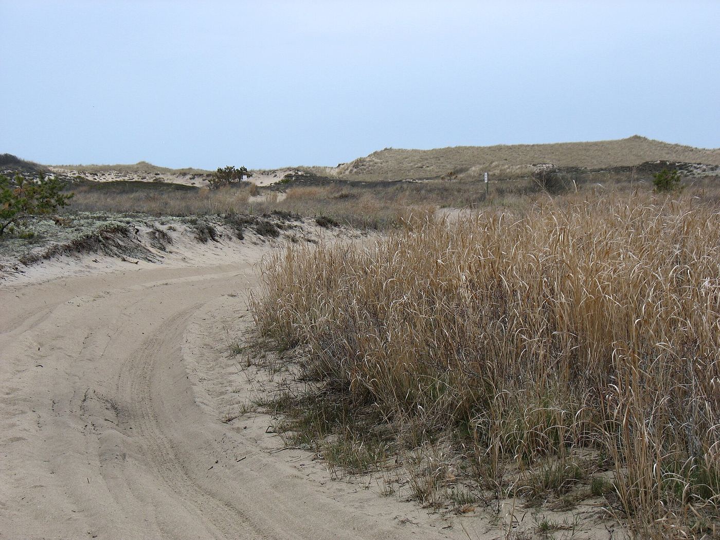 Napeague State Park