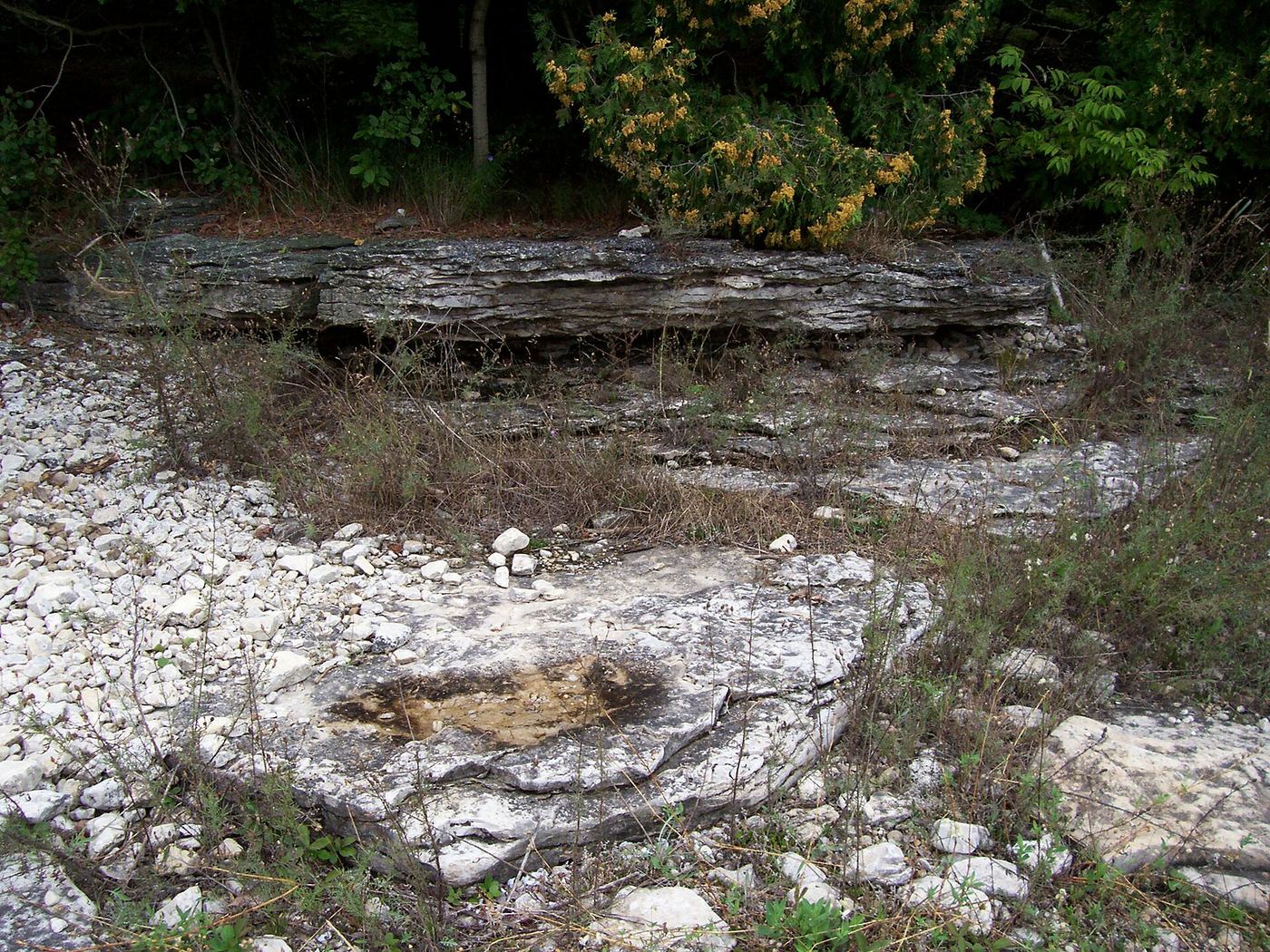 Newport State Park