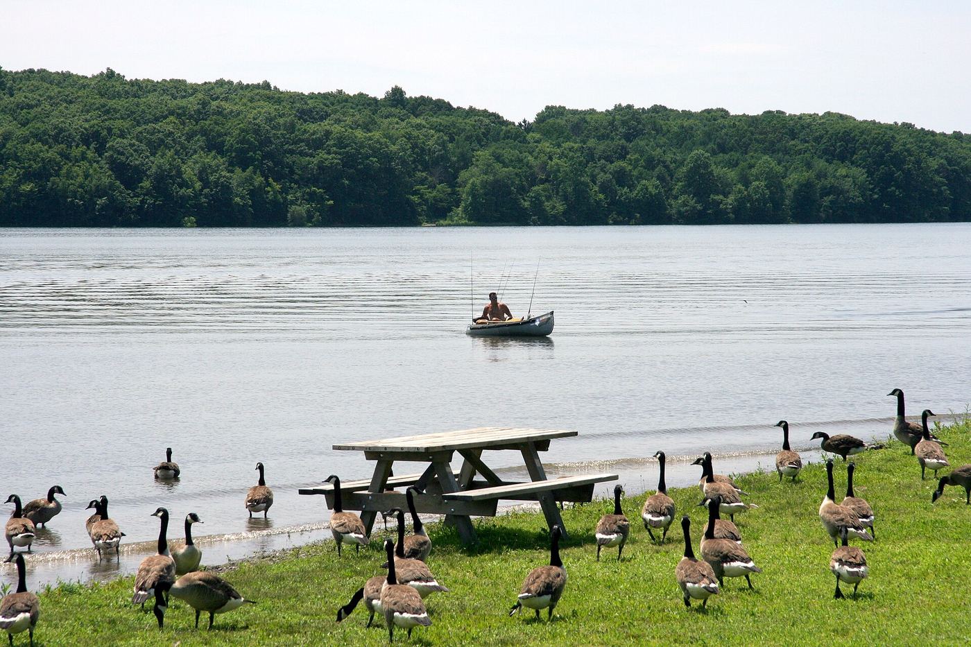 Nockamixon State Park