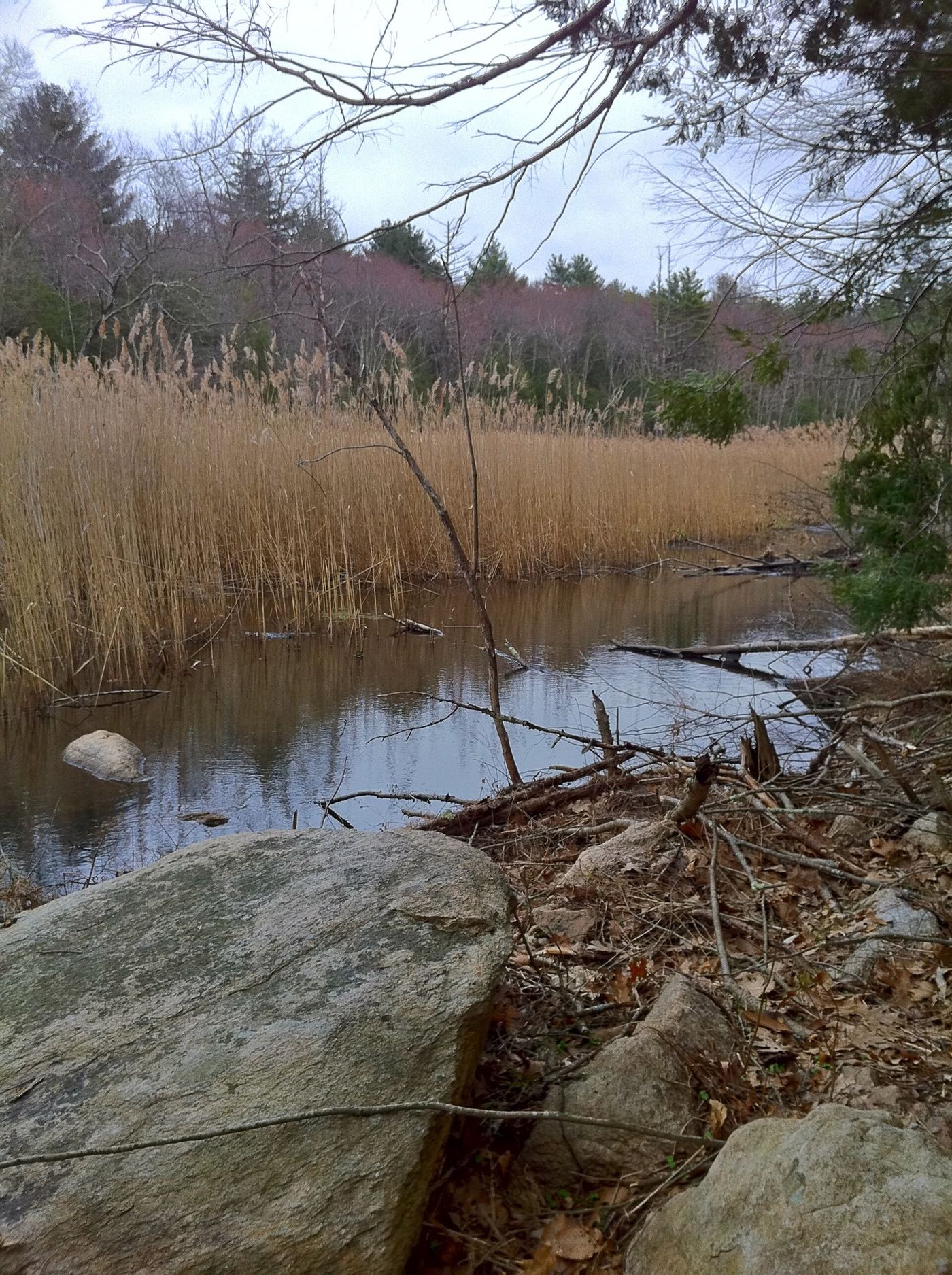 Old Furnace State Park