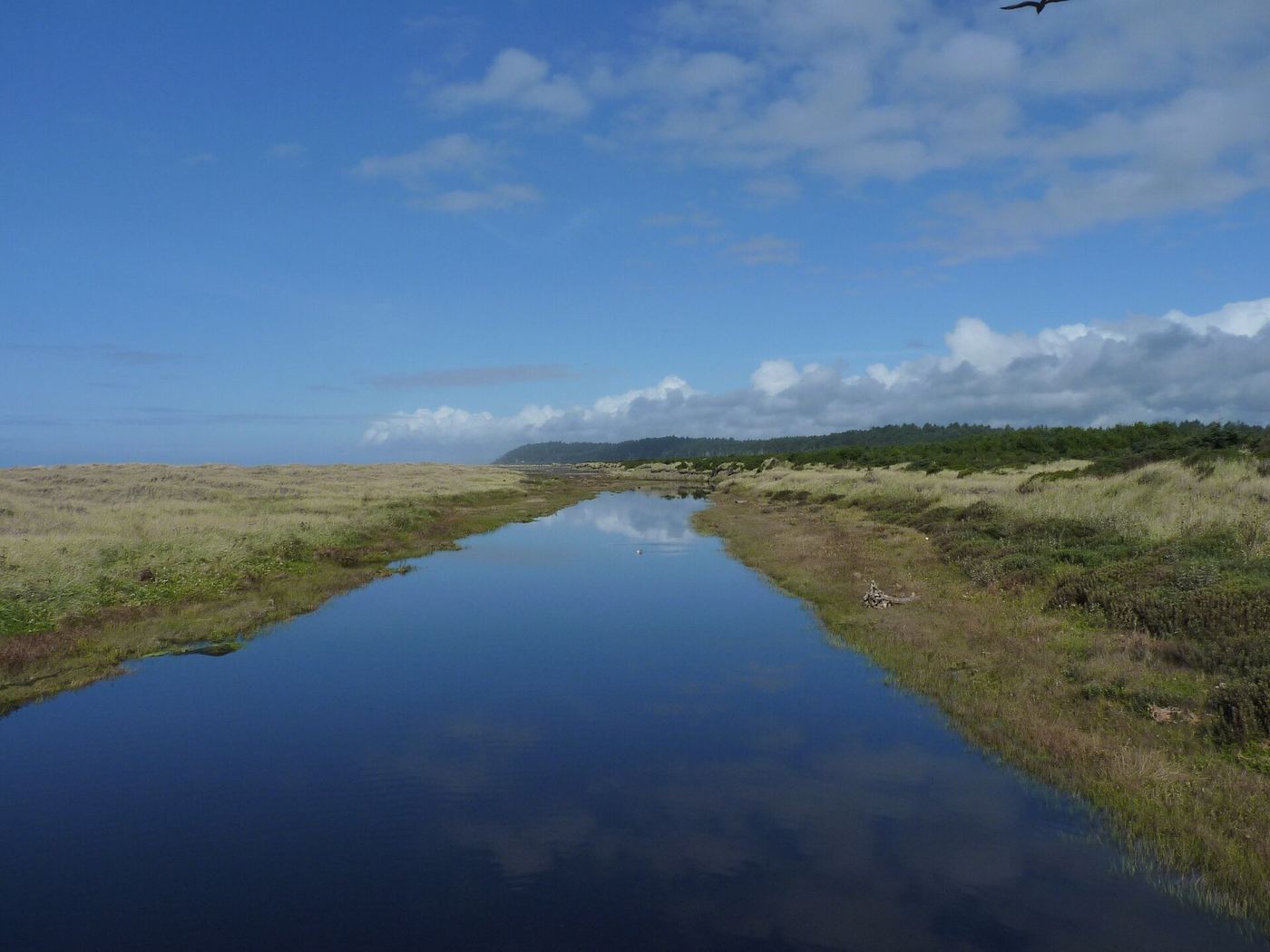 Pacific Beach State Park