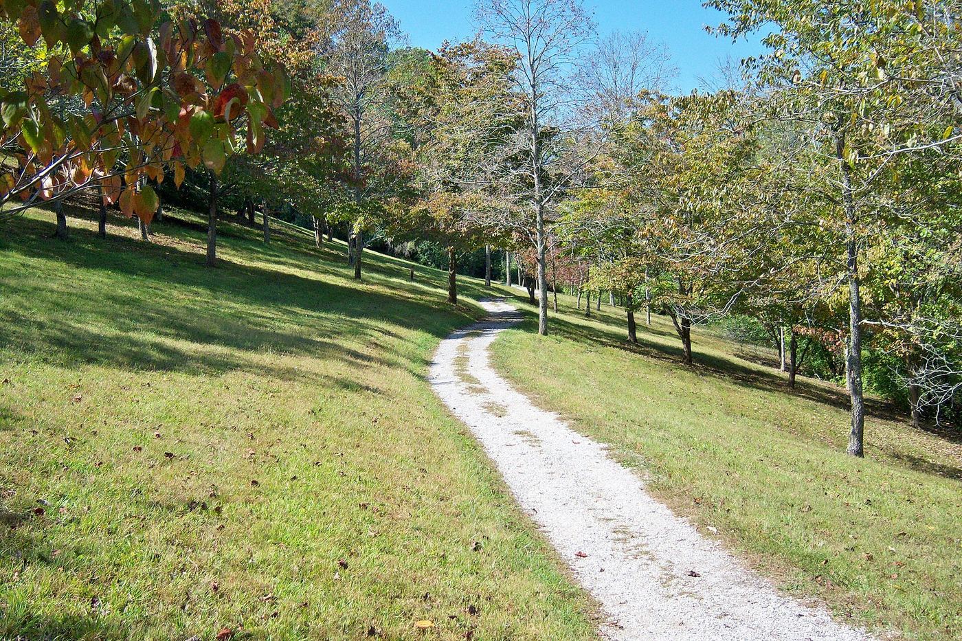 Paintsville Lake State Park
