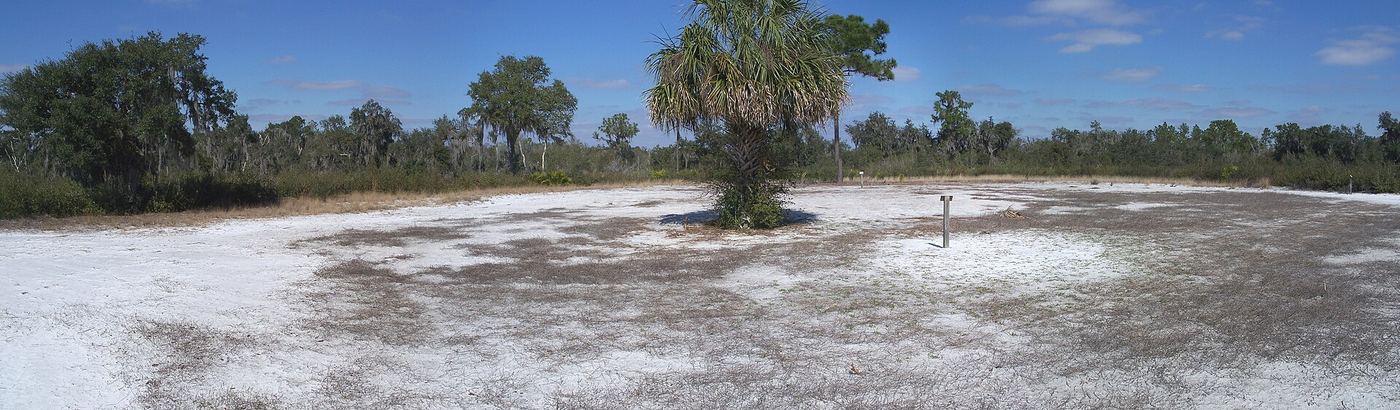 Paynes Creek Historic State Park