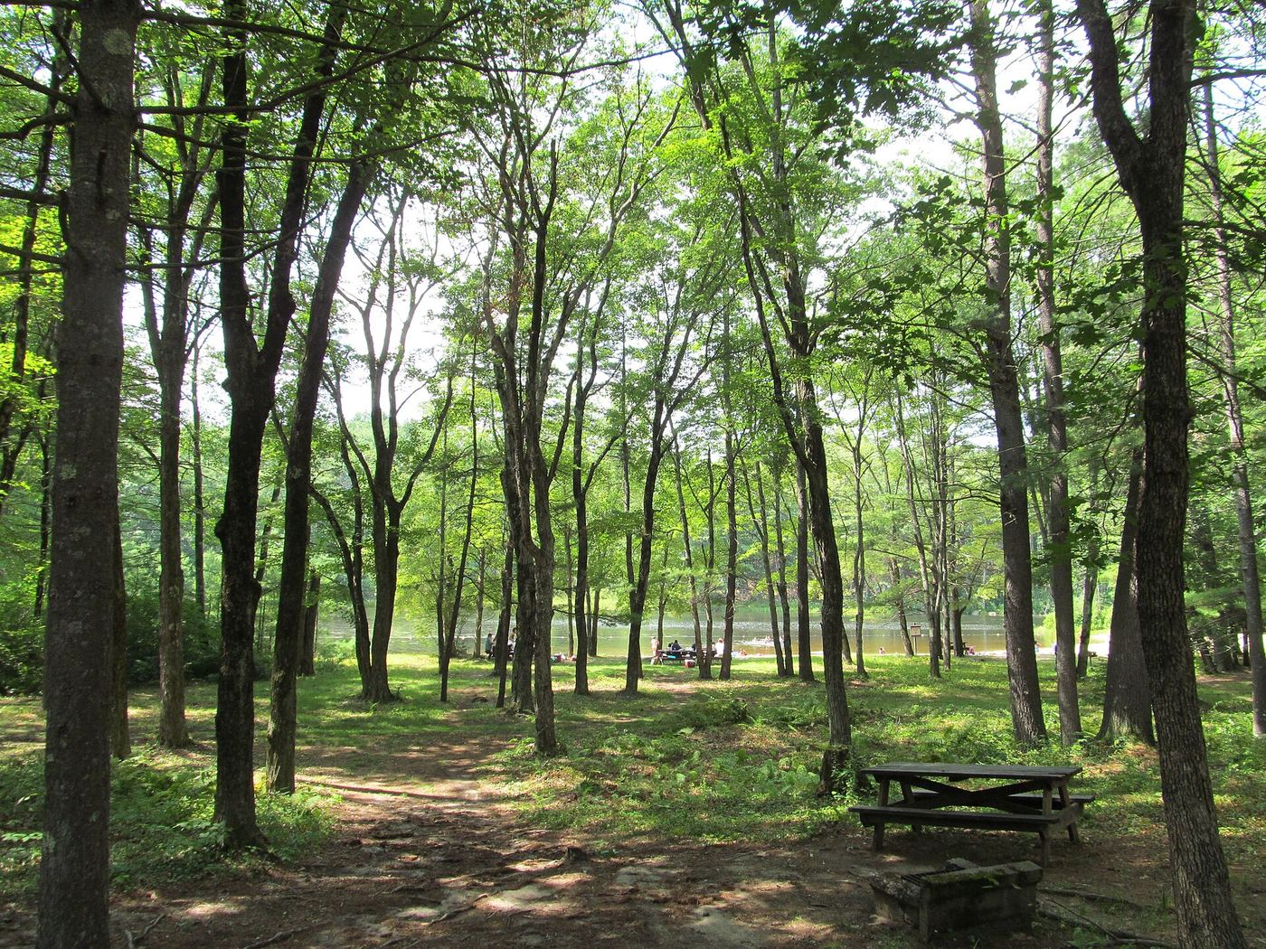 Pearl Hill State Park
