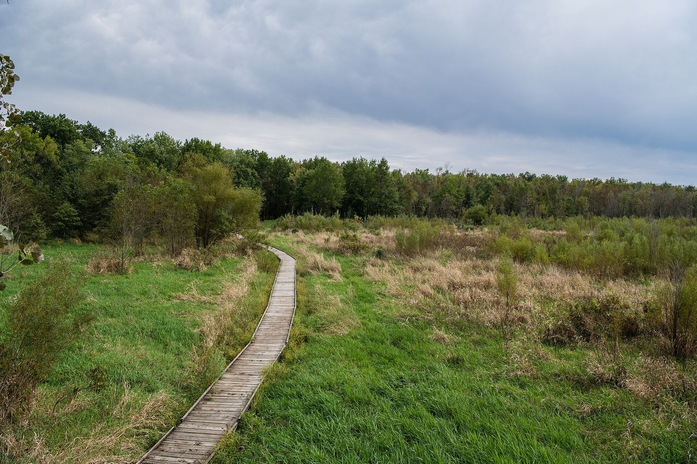 Pershing State Park