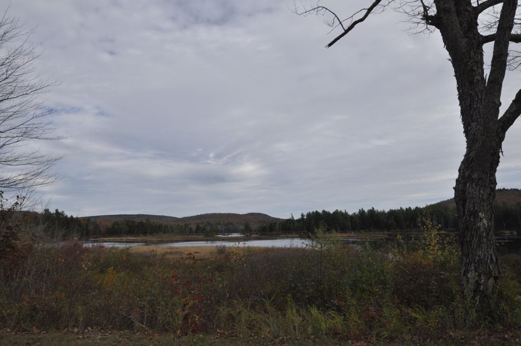 Pillsbury State Park
