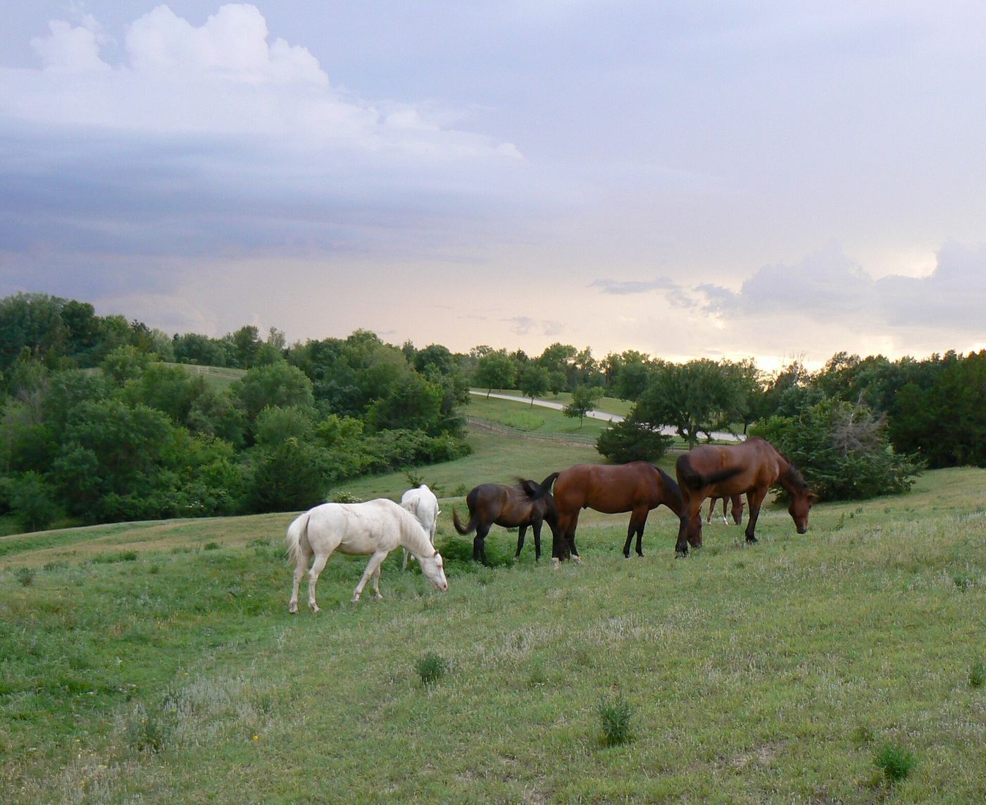 Platte River State Park