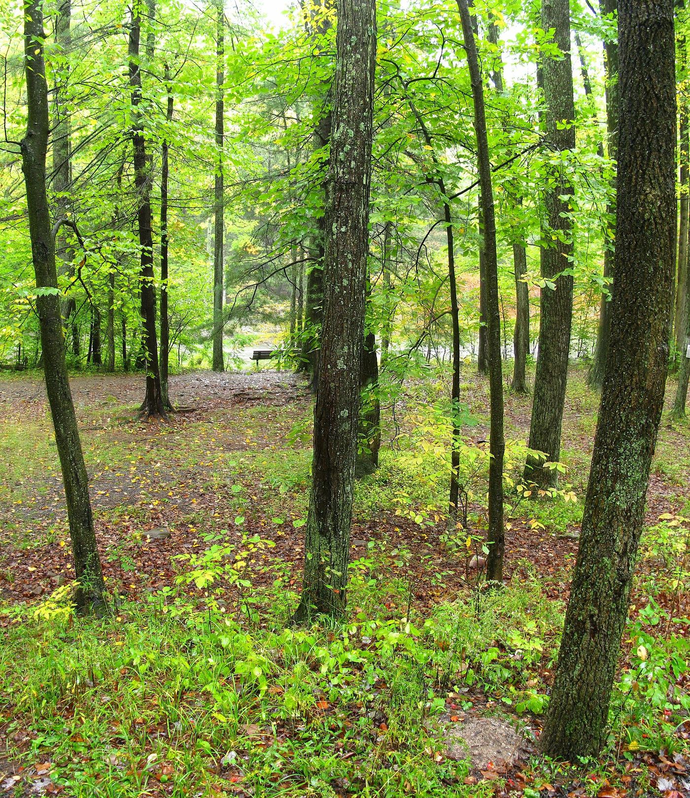 Poe Paddy State Park
