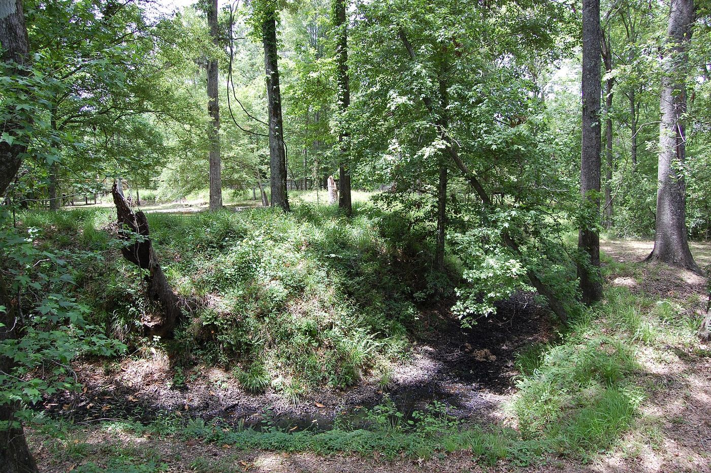 Port Hudson State Historic Site