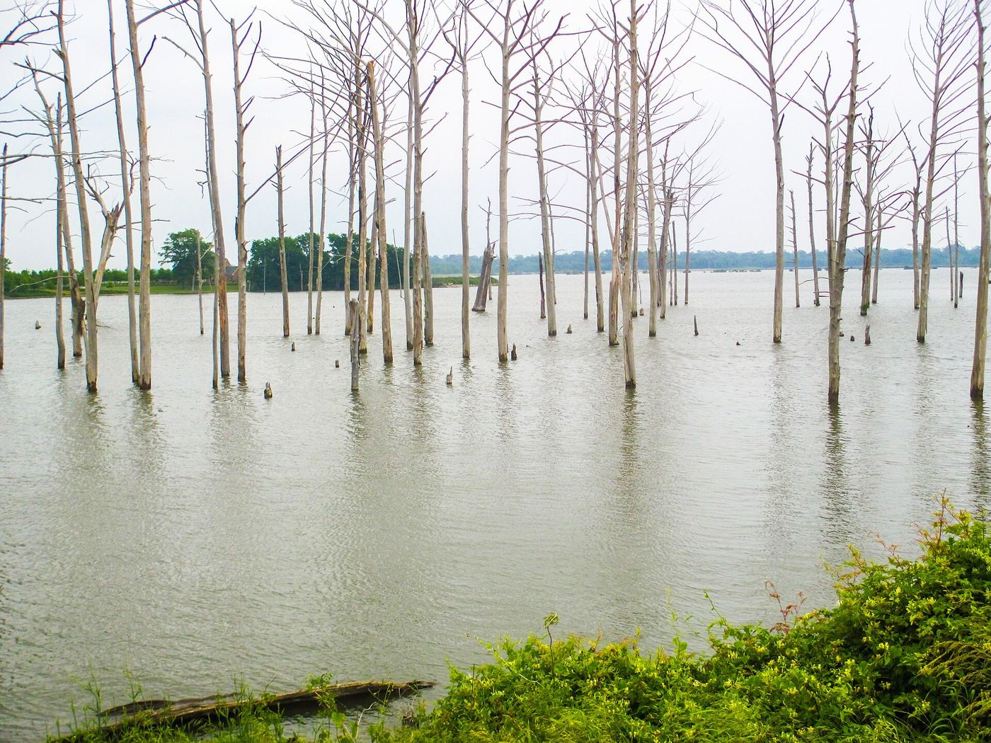 Poverty Point Reservoir State Park