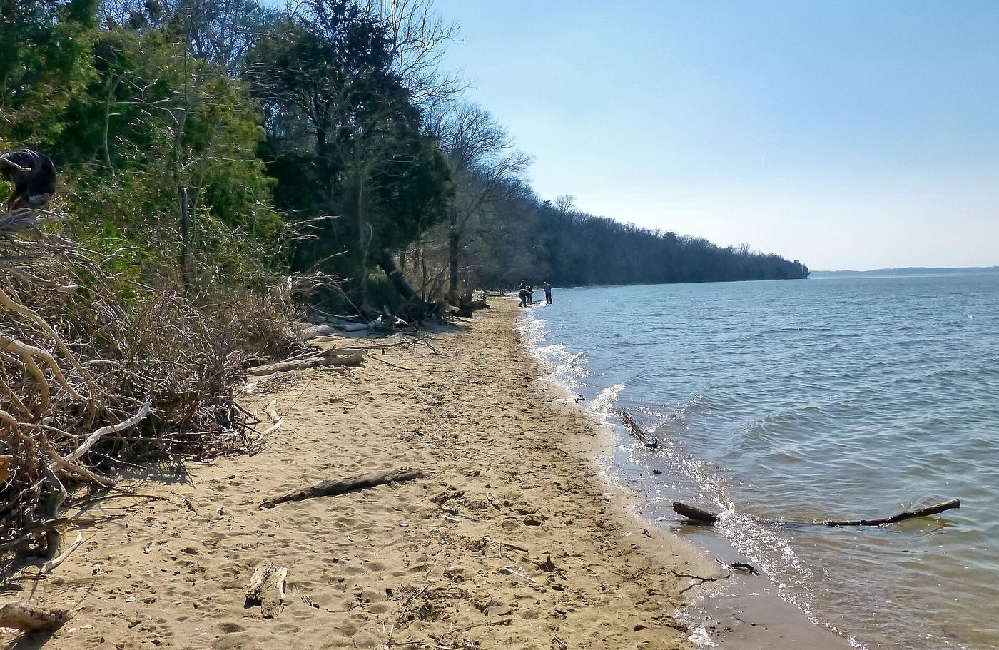 Purse State Park