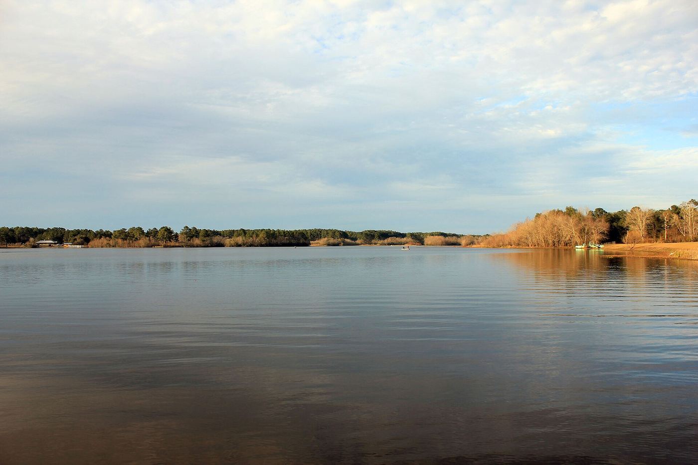 Reed Bingham State Park