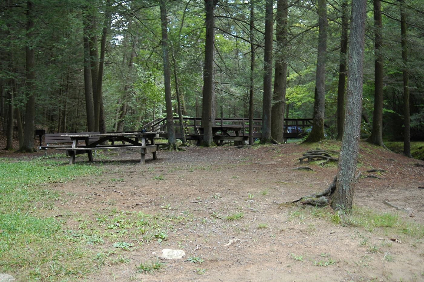 Reeds Gap State Park