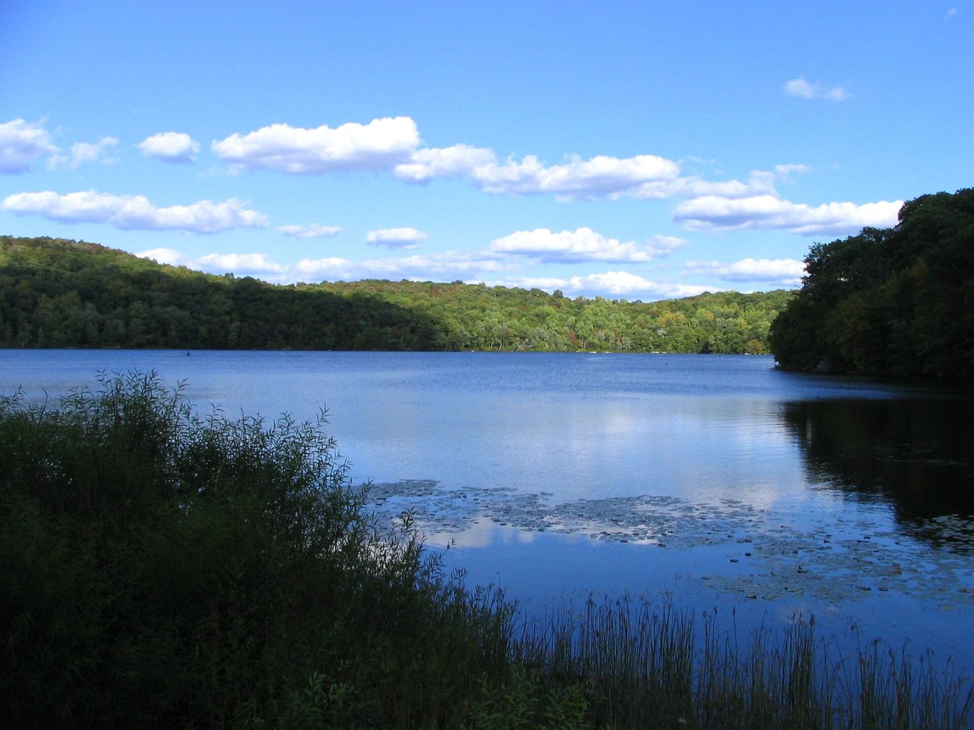 Ringwood State Park