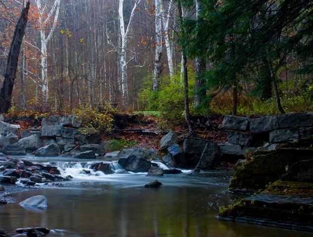 Robert H. Treman State Park