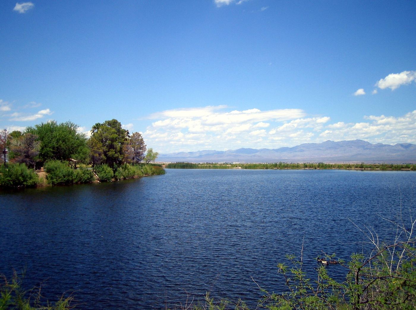 Roper Lake State Park