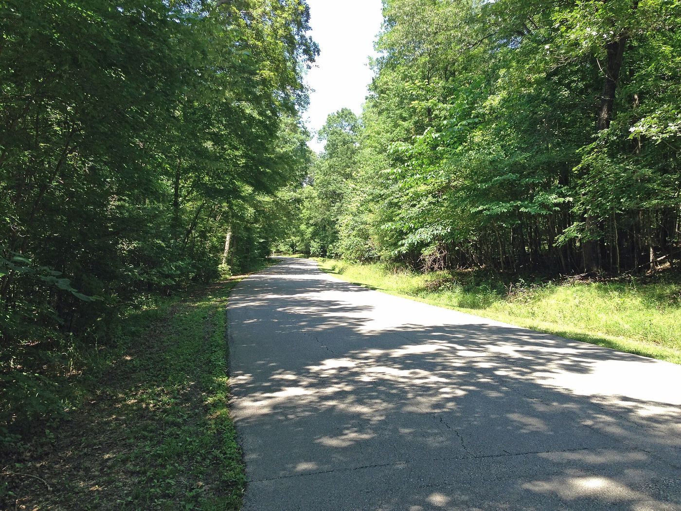 Robertsville State Park
