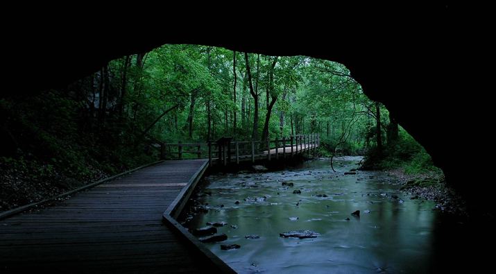 Rock Bridge Memorial State Park